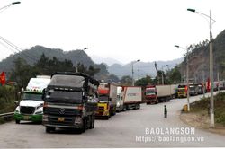 Ngày đầu mở lại thông quan sau kỳ nghỉ Tết Nguyên đán: 125 xe chở hoa quả xuất khẩu qua 2 cửa khẩu của tỉnh