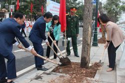 Quận Tây Hồ phát động Tết trồng cây 'Đời đời nhớ ơn Bác Hồ'
