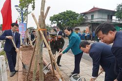 Hà Nam phấn đấu trồng 1,1 triệu cây xanh