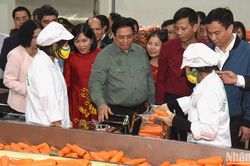 Tích cực ứng dụng chuyển đổi số để phát triển nông nghiệp xanh, hiện đại, gia tăng giá trị nông sản