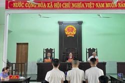 Xuân này con không về!
