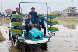 Thủ tướng lái máy cấy lúa, thu hoạch cà rốt cùng nông dân ở Hải Dương