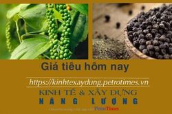 Giá tiêu hôm nay 15/2: Đông Nam Bộ và Tây Nguyên tăng thêm 500 đồng