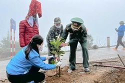 Quảng Ninh phát động 'Tết trồng cây đời đời nhớ ơn Bác Hồ'