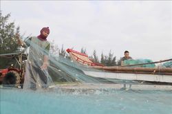 Các xã ven biển, bãi ngang huyện Diễn Châu (Nghệ An) 'mở cửa biển' đón lộc đầu năm