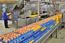 Tp.HCM kích cầu kinh tế 2024 và kỳ vọng bứt tốc tăng trưởng