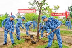 Các đơn vị quân đội tổ chức hưởng ứng Tết trồng cây đời đời nhớ ơn Bác Hồ