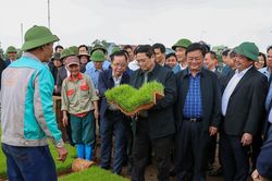 Thủ tướng xuống đồng cấy lúa, thu hoạch cà rốt cùng nông dân