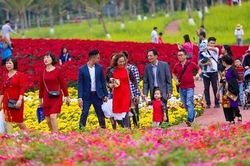 Nỗ lực để Xuân này hơn hẳn những Xuân qua