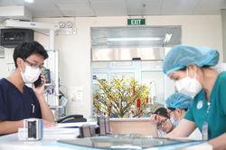 Số ca nhập viện ở TPHCM giảm trong 7 ngày nghỉ Tết
