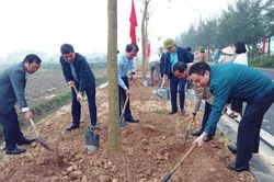 Hải Dương phát động Tết trồng cây 'Đời đời nhớ ơn Bác Hồ'