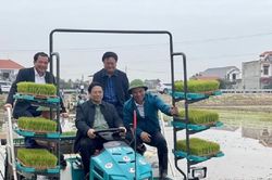 Khi Thủ tướng xuống ruộng cùng nông dân