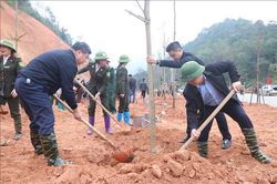Bắc Kạn phát động 'Tết trồng cây đời đời nhớ ơn Bác Hồ'