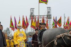 Đầu năm 'vua' xuống ruộng đi cày