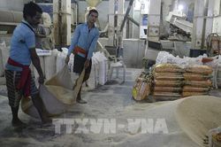 Nông dân Ấn Độ biểu tình đòi đảm bảo giá nông sản