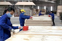 Bắc Kạn ban hành kịch bản tăng trưởng kinh tế, đặt mục tiêu giá trị SXCN đạt 2.080 tỷ đồng
