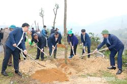 Na Hang phấn đấu trồng mới 530 ha rừng