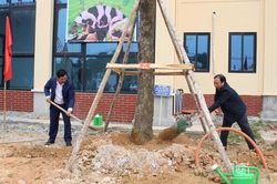 Đồng Hỷ phát động 'Tết trồng cây đời đời nhớ ơn Bác Hồ'
