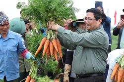 Thủ tướng Phạm Minh Chính xuống đồng cùng nông dân tỉnh Hải Dương