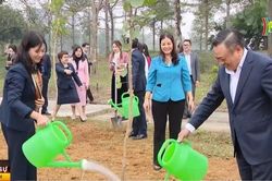 Chủ tịch UBND TP Hà Nội tham dự lễ trồng cây đầu Xuân