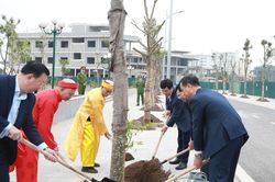Quận Hoàng Mai triển khai 'Tết trồng cây đời đời nhớ ơn Bác Hồ'
