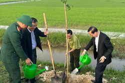 Sôi nổi hoạt động 'Tết trồng cây đời đời nhớ ơn Bác Hồ' ở Hà Tĩnh
