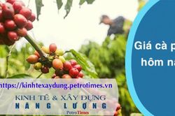 Giá cà phê hôm nay 17/2: Tăng mạnh trở lại