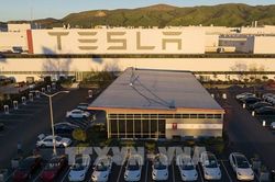 Tesla có kế hoạch sản xuất xe điện dành cho thị trường đại chúng
