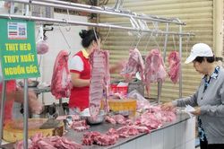 Giá heo hơi hôm nay 17/2: Giảm rải rác trên cả nước