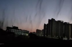 Những 'cơn lốc muỗi' hoành hành tại Ấn Độ