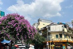 Hà Nội sắp đón những ngày nóng bất thường trong tháng 2