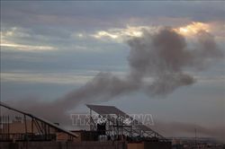 Xung đột Hamas - Israel: Bỉ hối thúc tiến trình chính trị chấm dứt chiến tranh