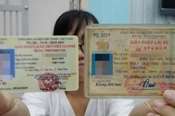 Gần 150.000 hồ sơ cấp đổi giấy phép lái xe trực tuyến