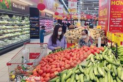 Chỉ số giá tiêu dùng tháng 1 tăng 0,3%