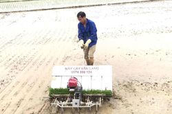 Lần đầu tiên triển khai mô hình sản xuất lúa hữu cơ áp dụng cơ giới hóa