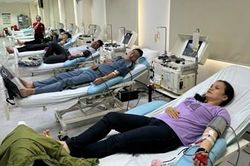 Hiến máu và hiến tiểu cầu đầu năm