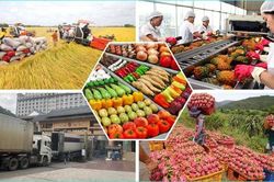 Hà Nội: Hỗ trợ hơn 500 lượt doanh nghiệp tham gia mạng phân phối tại nước ngoài