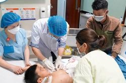 Bé trai 7 tuổi bị chó cắn thủng ruột khi đi chúc Tết