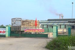 Quảng Ngãi phạt 330 triệu đồng doanh nghiệp xả nước thải có chứa xyanua vượt ngưỡng ra môi trường
