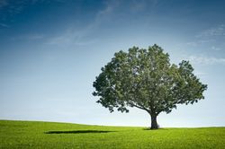 ExxonMobil dự báo triển vọng toàn cầu về khí phát thải CO₂