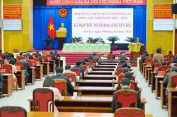 Ông Nguyễn Tuấn Anh được bầu giữ chức Phó Chủ tịch UBND tỉnh Gia Lai