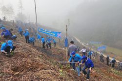 Liên đoàn Lao động tỉnh phát động 'Tết trồng cây đời đời nhớ ơn Bác Hồ' Xuân Giáp Thìn 2024
