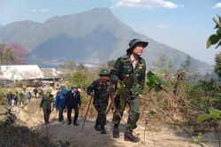 Nỗ lực khống chế cháy rừng tại Sa Pa