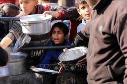 WFP tạm thời ngừng hoạt động nhân đạo tại Gaza