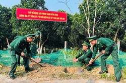 Bộ đội Biên phòng Đà Nẵng hưởng ứng Tết trồng cây đời đời nhớ ơn Bác Hồ