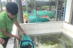 Chàng trai làm giàu nhờ nuôi đặc sản