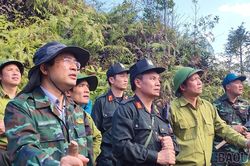 Cơ bản khống chế được các điểm cháy không để lan vào khu vực rừng già