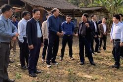 Kiểm tra thực địa công tác giải phóng mặt bằng Dự án đầu tư xây dựng tuyến cao tốc Đồng Đăng (Lạng Sơn) - Trà Lĩnh (Cao Bằng)