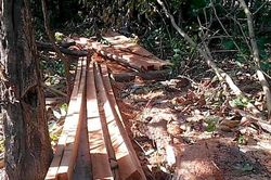 Hiện trường vụ 30 lâm tặc đe dọa lực lượng chức năng