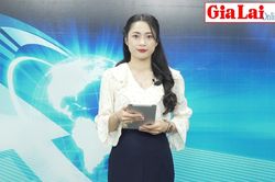 Gia Lai 24h: Rừng biên giới Ia Mơr bị xâm phạm nghiêm trọng